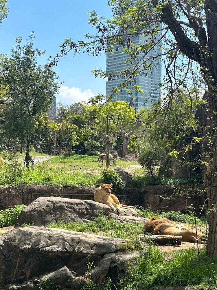 Reifa宿泊動物園前2 Осака Экстерьер фото